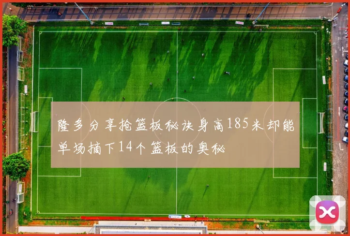隆多分享抢篮板秘诀身高185米却能单场摘下14个篮板的奥秘